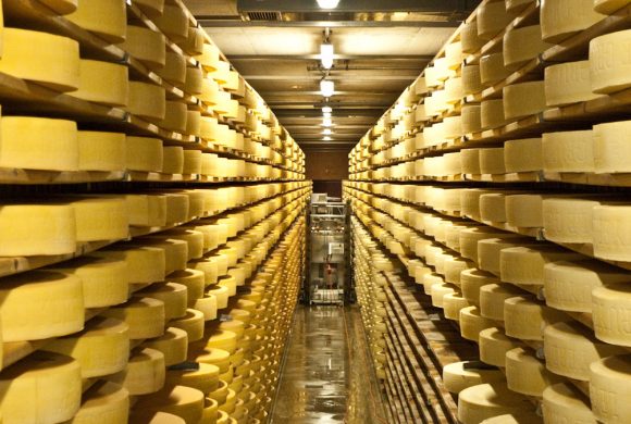 Petit fromage « edelweiss »